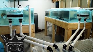 MONSTER DIY aquariums and fish UPDATE [upl. by Auerbach922]