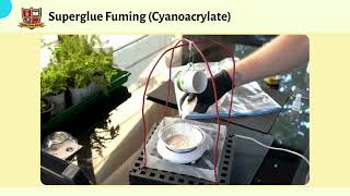 Cyanoacrylate Fuming  Fingerprint Development Method [upl. by Otreblon]