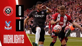 Eduoard Goal downs Blades  Sheffield United 01 Crystal Palace  Premier League highlights [upl. by Acined]