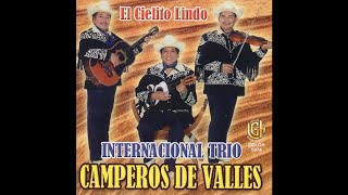 Internacional Trio Camperos de Valles  La Leva [upl. by Namyl]