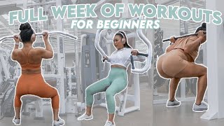 Beginner Weight Loss Workout  Easy Exercises At Home [upl. by Remot272]