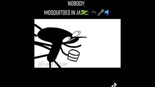 ziddy sings alkaline cree as a mosquito🤣🤣🤣 [upl. by Aneez]