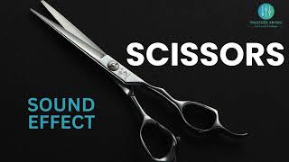 Scissors Sound Effect in High Quality  Free Download [upl. by Giralda926]