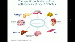 SGLT2 inhibitor  Unigue Mechanism of Action 14มกราคม2559 [upl. by Suiramed]