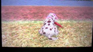 Nintendogs  cats Les loulous en action [upl. by Adnamas2]