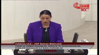 Milletvekilimiz Feleknas Uca TBMM’de Dışişleri Bakanlığı bütçesi üzerine konuşuyor [upl. by Inaluiak239]