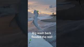 Bonnethead shark catch and release at Melbourne Beach tight lines [upl. by Verlie813]