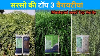 सरसो की टॉप 3 वैरायटीयां  Mustered seed Top Verity [upl. by Ihsar90]