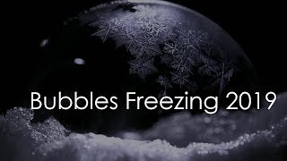 Bubbles Freezing 2019 [upl. by Anesusa631]