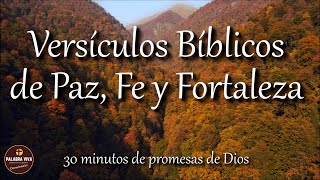 Versículos Bíblicos que te llenarán de Paz Fe y Fortaleza  Biblia hablada  Bible audio [upl. by Eillehs]