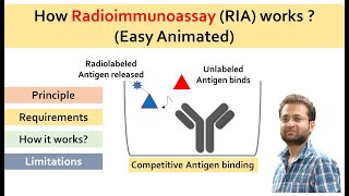 What is Radioimmunoassay RIA How it works Easy animated video [upl. by Alejna]