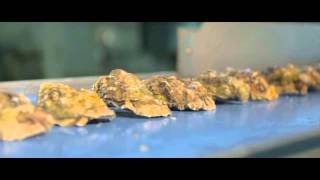 Gillardeau protects its oysters against counterfeiting products thanks to Arjo Solutions [upl. by Amy739]