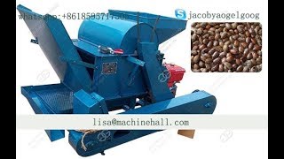 Castor Seed Shelling MachineCastor Bean Shelling MachineCastor Seed Sheller Equipment [upl. by Eniwtna]