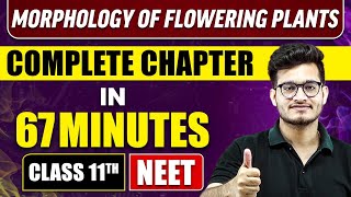 Morphology of Flowering Plants FULL CHAPTER  NCERT Class 11th Botany  Chapter 4  Yakeen NEET [upl. by Hafeenah440]