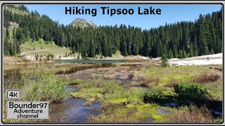 Hiking Tipsoo Lake [upl. by Lekkim]