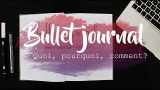 Bullet journal  Quoi Pourquoi Comment Bullet Journal Français [upl. by Ambler821]