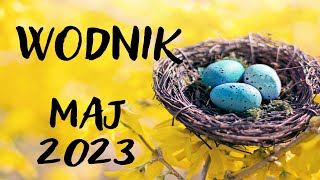 WODNIK♒MAJ 2023♒ prognoza Tarota 🔥NIE DAJ SIĘ ZBIĆ Z TROPU  RÓB SWOJE BO CHODZI O TWOJE SZCZĘŚCIE🔥 [upl. by Laamaj186]