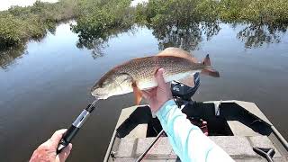 Florida Sunset Redfish and Snook 2023 [upl. by Asirehc]