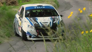 Rallye du Chablais 2021 Highlights [upl. by Ferdinana]