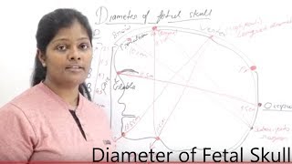 Diameter of Fetal Skull Lecture in Hindi  Types of Diameter  Diameter Measurement of Fetal skull [upl. by Neuberger769]