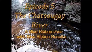 Adirondack Adventures ep5 The Chateaugay River  Blue ribbon river Blue ribbon results [upl. by Cristionna803]