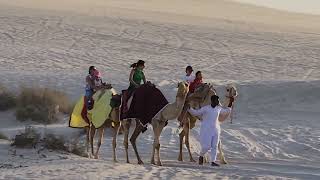 camellando en las dunas de Qatar [upl. by Snapp]