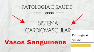 Histologia do Sistema Cardiovascular Vasos Sanguíneos [upl. by Landry]