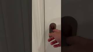 How To Open A Clost Door1111 shorts bomboclat memes [upl. by Bouzoun124]