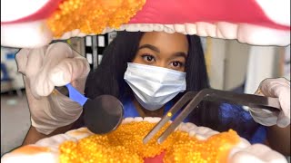 ASMR Getting Something Out Of Your Teeth 🦷 🪥 Dentist Roleplay  Teeth Cleaning ASMR [upl. by Nygem474]