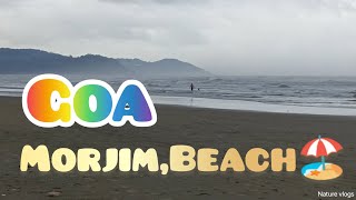 Goa Morjim BeachFeel the Goagoa morjim goabeachvlog [upl. by Hcnarb]