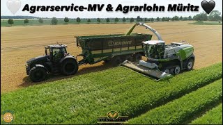 AgrarserviceMV amp Agrarlohn Müritz 🤍Weiß Schwarz 🖤 400ha Gersten GPS Jaguar 990TT Fendt Traktoren [upl. by Rasmussen]