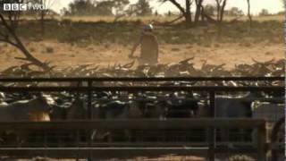 Wild Goat Muster in Australia  Jimmys Global Harvest Episode 2 Preview  BBC Two [upl. by Guarino]