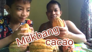 MUKBANG THEOBROMA CACAO II youtube  Kethoy Channel [upl. by Orravan158]