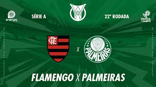 FLAMENGO X PALMEIRAS  11082024  BRASILEIRÃO  AO VIVO [upl. by Nayb168]