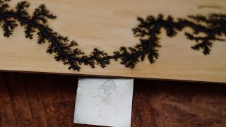 Magnets effect on Lichtenberg Figure formation 4K [upl. by Gefen135]