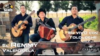 Remmy Valenzuela  Reproches Al Viento En Vivo Con Tololoche [upl. by Rosalee]