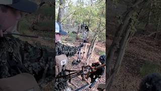 Hang and Hunt hunting saddle hang treestand [upl. by Alyson]