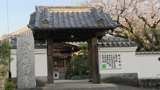 🚶‍♂️ Japan Zen Buddhist temple tour  Walking in Japan 日本の禅仏教寺院ツアー  日本でのウォーキング [upl. by Anaeli679]