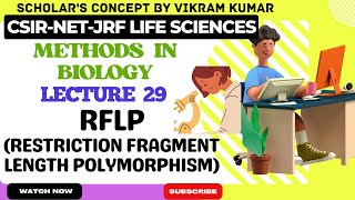 RFLP Restriction Fragment Length Polymorphism  Methods in Biology [upl. by Grimaud]