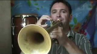 Trumpet Sound Effects 9 The Scoop [upl. by Slavin]