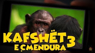 Kafshët e Çmendura  E3 [upl. by Elreath]