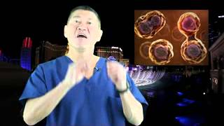 Stem Cell Therapy  stem cell mobilization gcsf [upl. by Sadinoel]