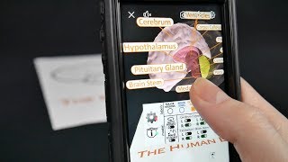 The Human Brain  Augmented Reality Facebook Lens Trailer [upl. by Hazel]