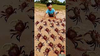 Amazing trick 😱 seafood crab food mukbang cooking bushcraft camping outdoors comedy [upl. by Nillad]