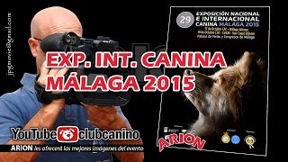 EXP INT CANINA  MALAGA 2015 [upl. by Odnalro]