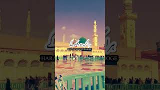 💚Hara Gumbad Jo Dekhoge Status  Whatsapp Status  Jumma Status shorts allah makkah [upl. by Cave]