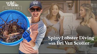 Spiny Lobster Diving with Bri Van Scotter  S1E05  Sourced [upl. by Lexy]