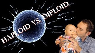 Haploid vs Diploid  James Dundon [upl. by Eberhart]