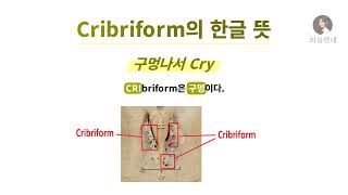 암기법 Cribriform의 한글 뜻 [upl. by Nemajneb854]