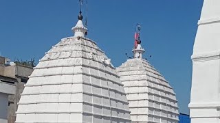 Baba Dham Deoghar Live New Year 2024 [upl. by Ariadne986]